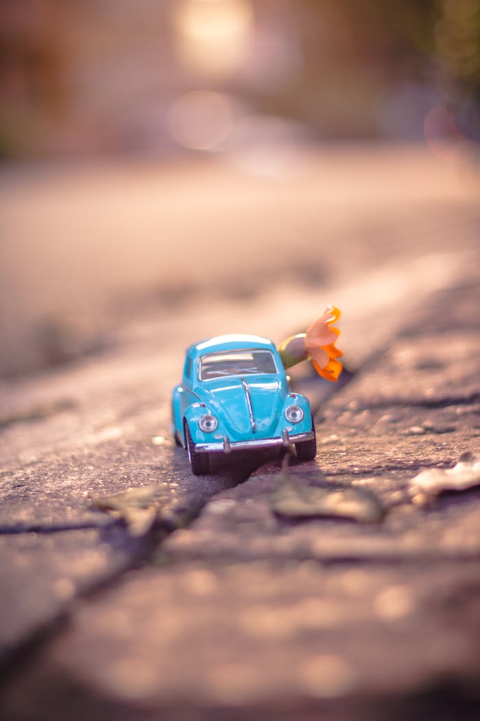 gallery-01 A tiny blue vintage toy car beside an orange flower on sunlit pavement conveying whimsy and nostalgia.
